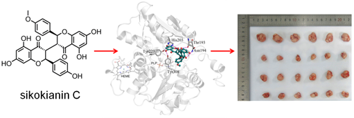 说明: E:\U盘 2016.8.5\新建文件夹 (2)\RSC advances投稿(已结束)\论文投稿\graphical abstract.tif